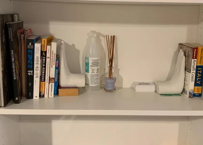 Apartamento Casina Centotrecento-universita E Centro Storico- Bolonia